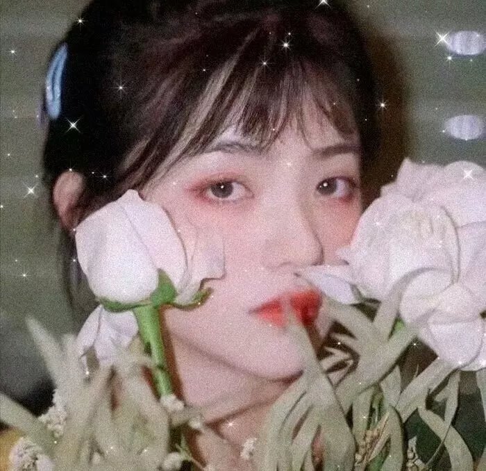 真爱如血第二季