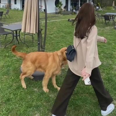 小爸爸
